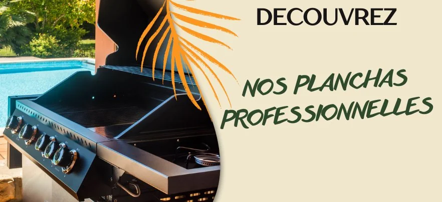PLANCHA PROFESSIONNELLE